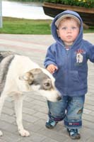 vIMG_4820